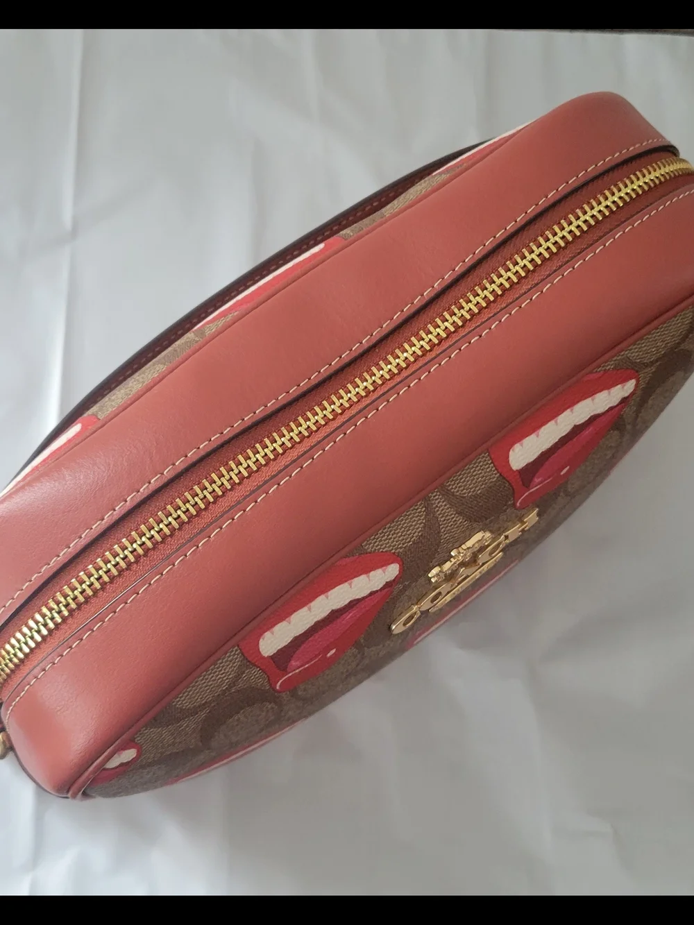 Coach X Tom Wesselmann Jamie Camera Bag